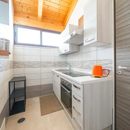 Sansivieri 阿格罗波利