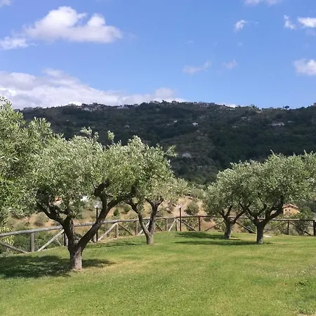 Sansivieri Couette-café 4*