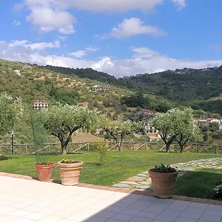 Sansivieri Agropoli